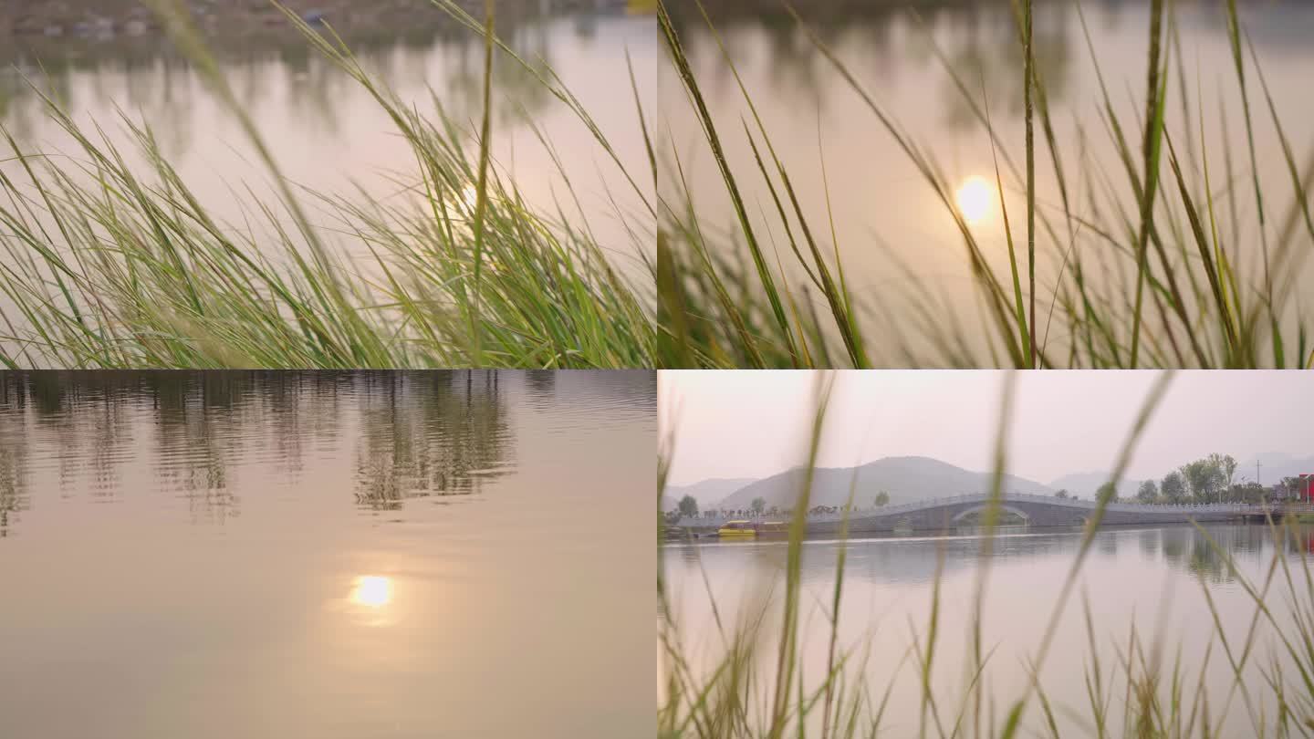 傍晚湖边夕阳水草-黄昏日落