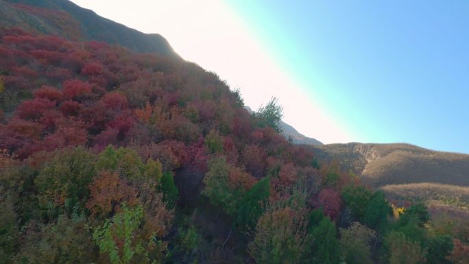 穿越机航拍北京红叶秋山(4K)