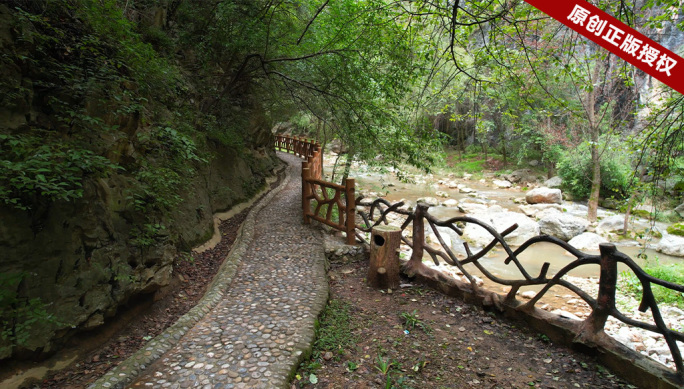 森林中小石子路苔藓 石板路 石头小路上