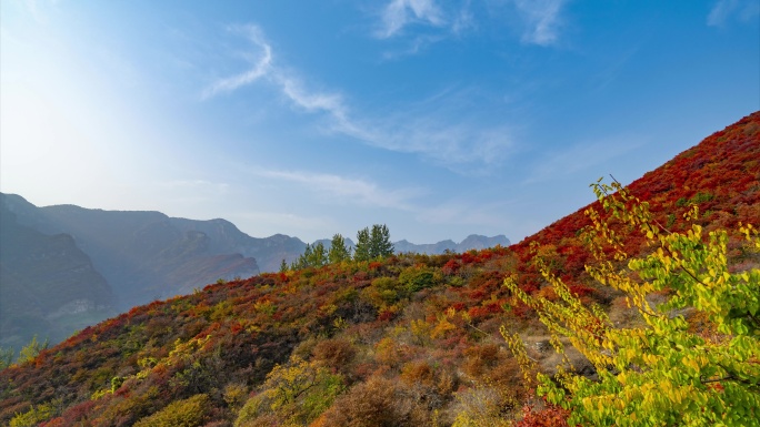 8k房山坡峰岭红叶延时