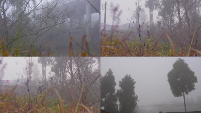 秋冬清晨乡间田野浓雾