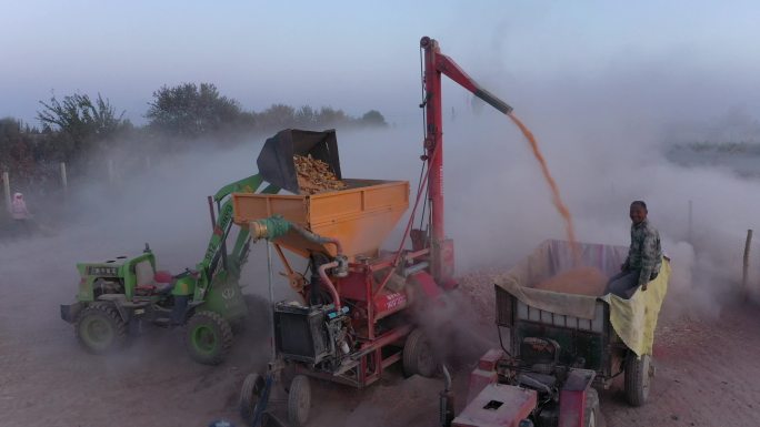 傍晚农村玉米机械脱粒除尘现场