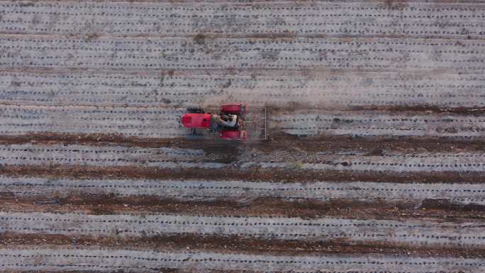 农民驾驶拖拉机在田间清除地膜
