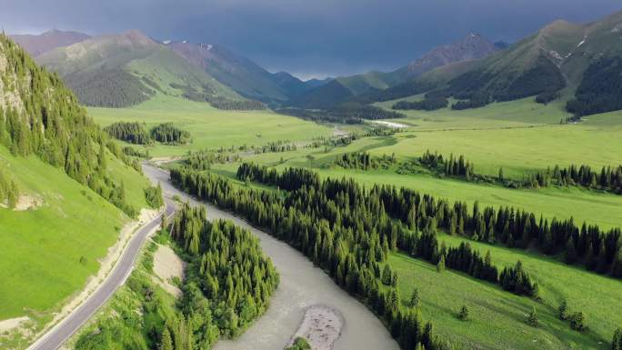 【4K】新疆独库公路高山牧场航拍
