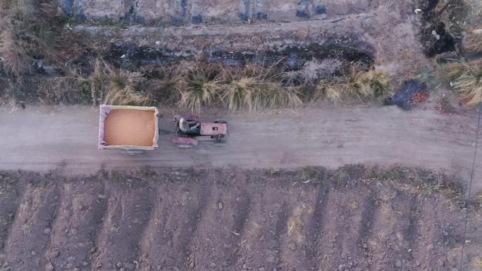 农民开拖拉机在乡间小道运输玉米