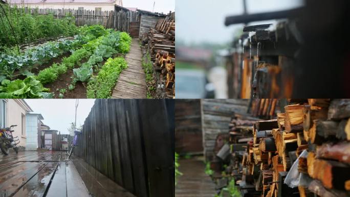 雨中的村庄小院