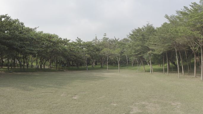深圳公园草地