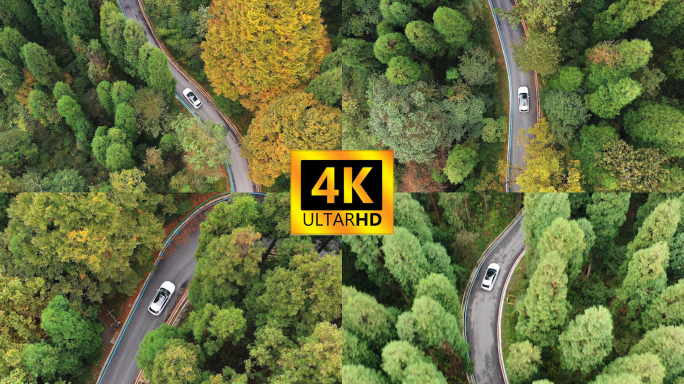 4K航拍行驶在森林中的汽车