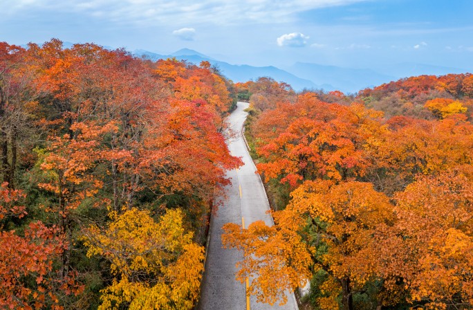 航拍四川峨眉山秋天红叶和金顶震撼风光