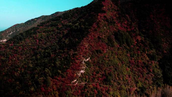 长安东天子峪秋色绝景