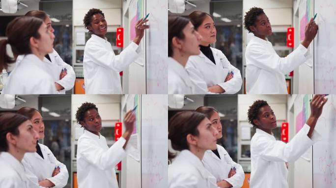 科学家在实验室白板上讨论化学公式