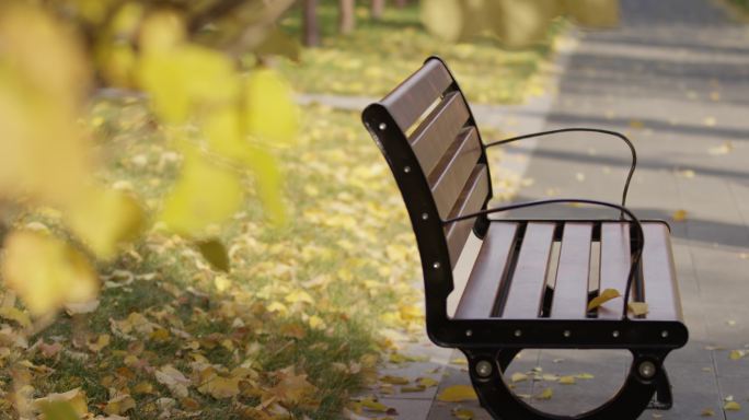 秋天公园长椅，落叶，伤感空镜头