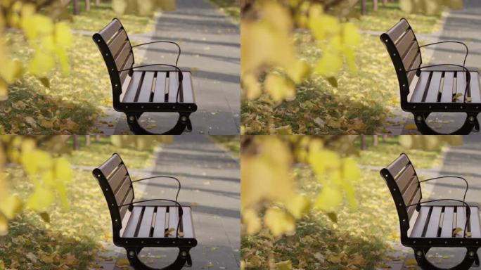 秋天公园长椅，落叶，伤感空镜头