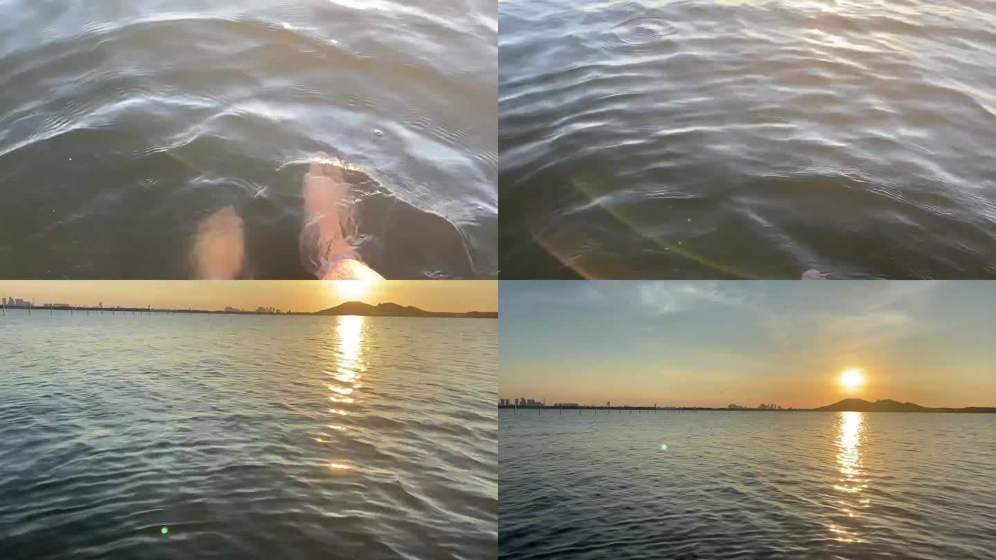 日出后湖面