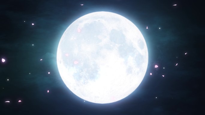 4K樱花花瓣月亮满月循环视频