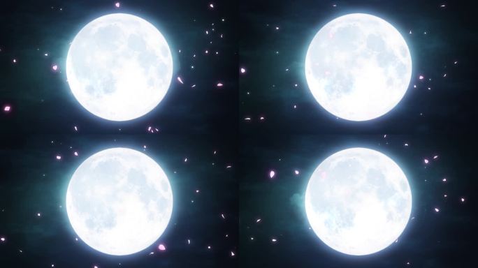 4K樱花花瓣月亮满月循环视频