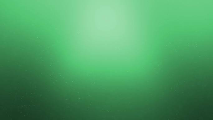 4k绿色柔软水下阳光和海藻颗粒可循环库存视频