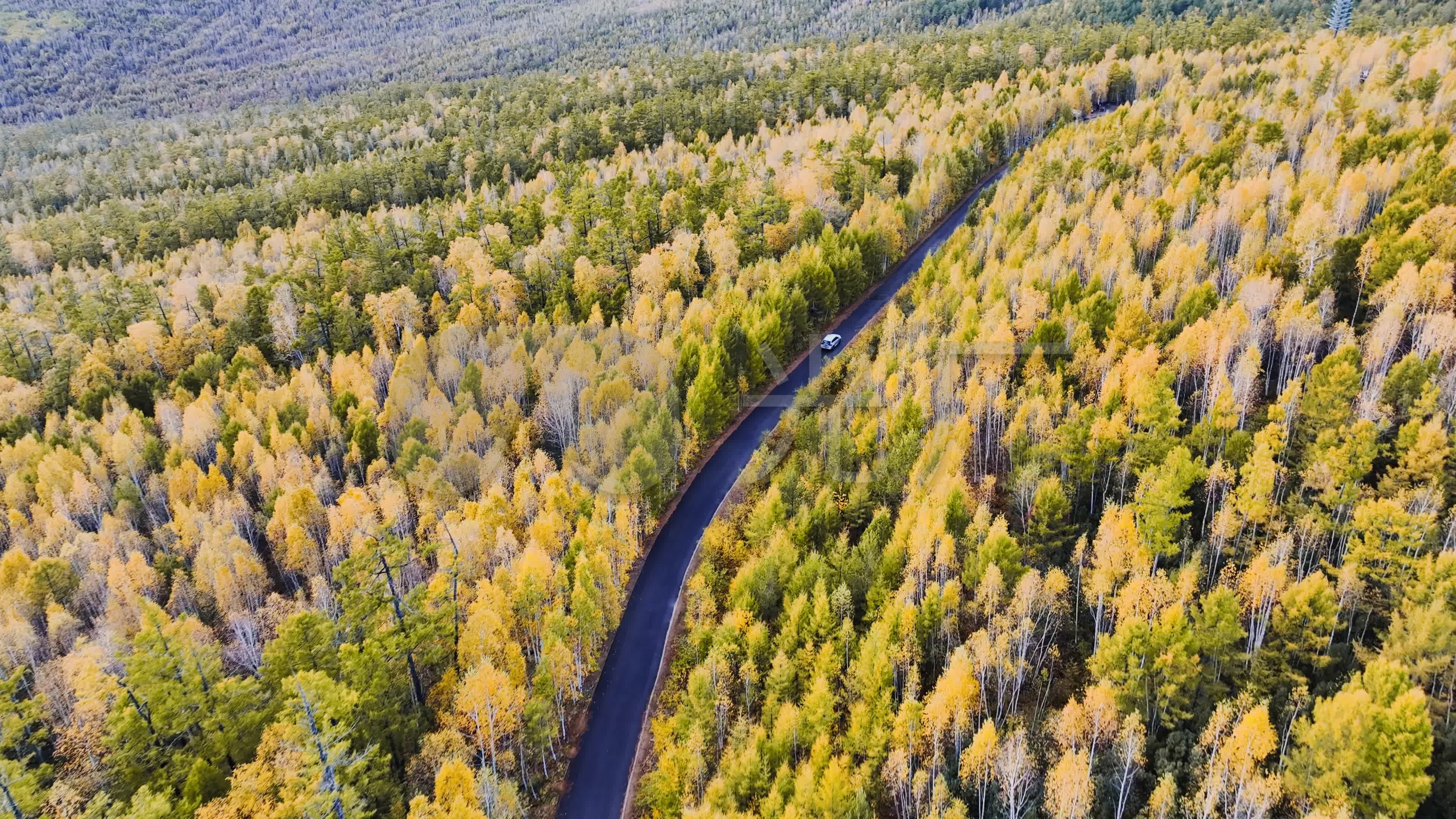 航拍大兴安岭林区山谷绿色林海_3840X2160_高清视频素材下载(编号:9276901)_实拍视频_光厂(VJ师网) www.vjshi.com