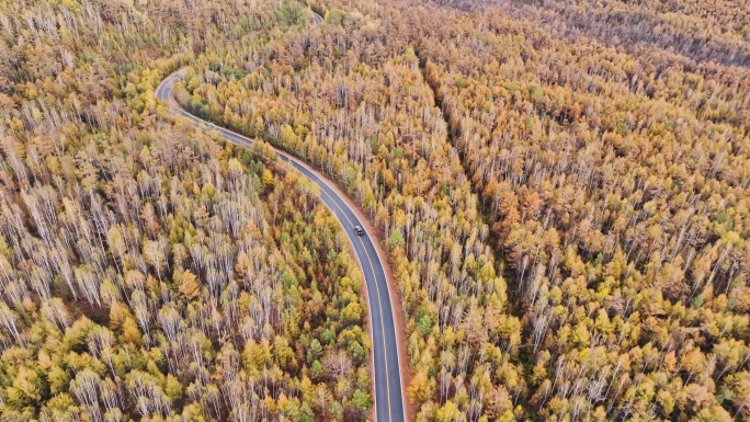汽车穿越大兴安岭原始森林的弯曲公路
