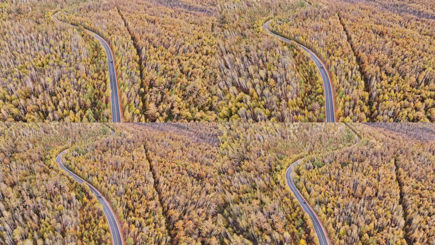 汽车穿越大兴安岭原始森林的弯曲公路