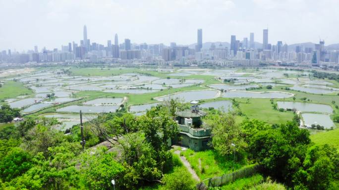 无人机俯瞰香港元朗鱼塘