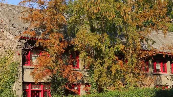 北京大学燕园未名湖畔秋景