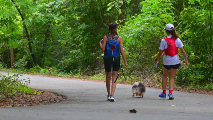 一起跑步路线牵着小狗山里散步健身美女徒步