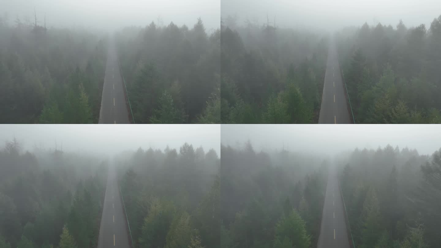 航拍森林晨雾中的公路
