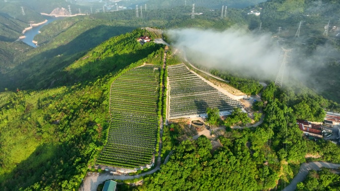 玉环西山陵园公墓航拍