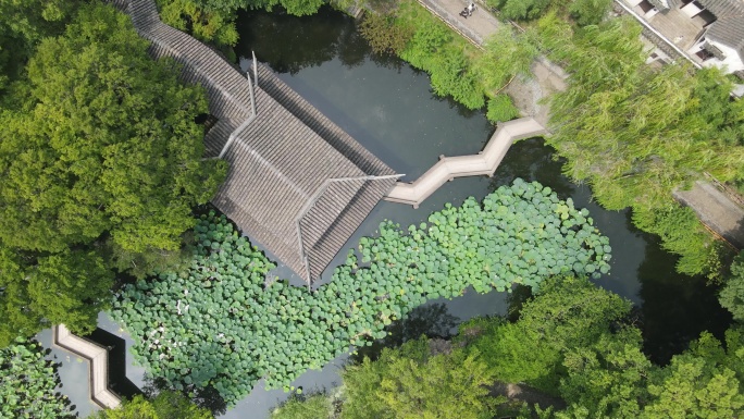 夏天的苏州园林拙政园俯视航拍