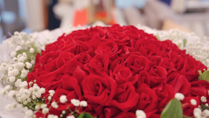 玫瑰 花 浪漫 红色 手捧花