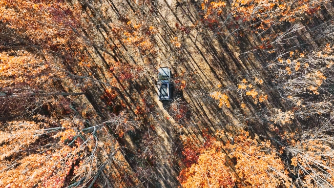 航拍汽车秋天林荫小路开车