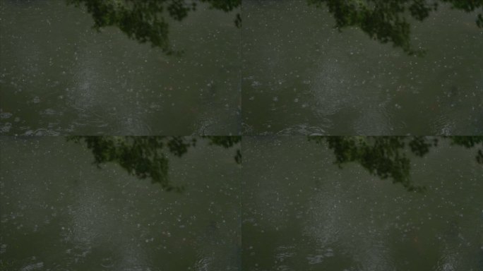 有版权」LOG高速拍摄树叶下雨雨滴4K7