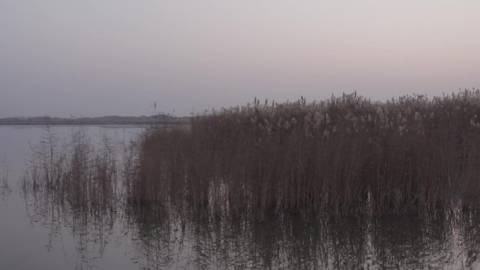 太阳在沙漠湖面，地面有雪