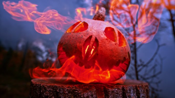 DS可怕的南瓜雕刻在树林中的树桩上，火焰从开口处冒出来