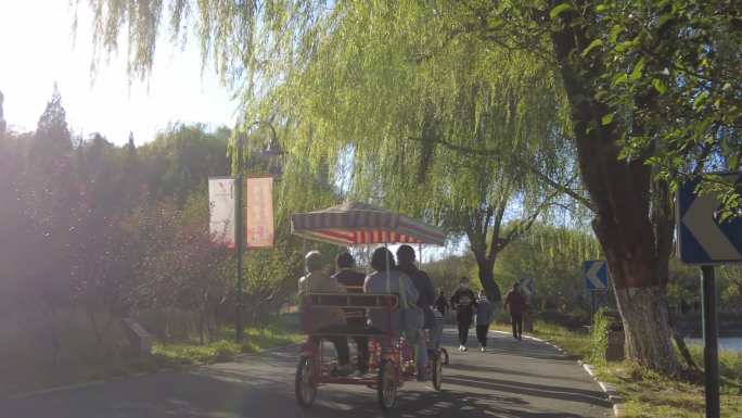 骑行锻炼游览游人游客唯美秋景绿色城市运河