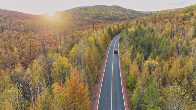 自驾汽车穿越秋天的原始森林