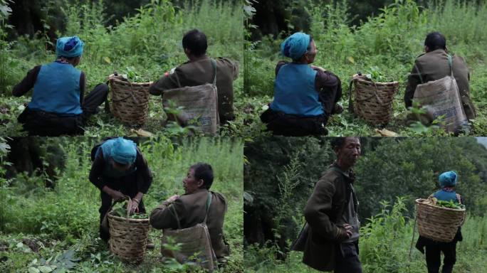 大山里的老夫老妻坐在田间地头野外用餐