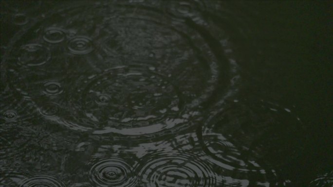 有版权」LOG高速拍摄树叶下雨雨滴4K9
