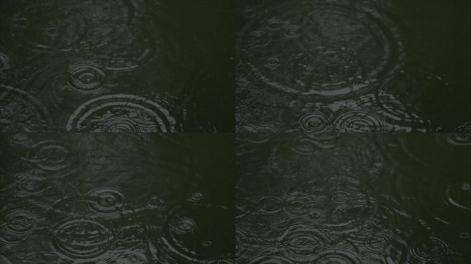 有版权」LOG高速拍摄树叶下雨雨滴4K9