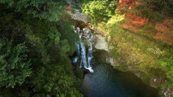 深山密林野生瀑布秋景