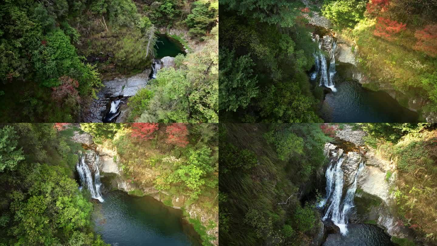 深山密林野生瀑布秋景