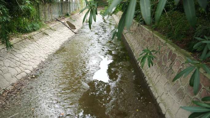 干涸河道