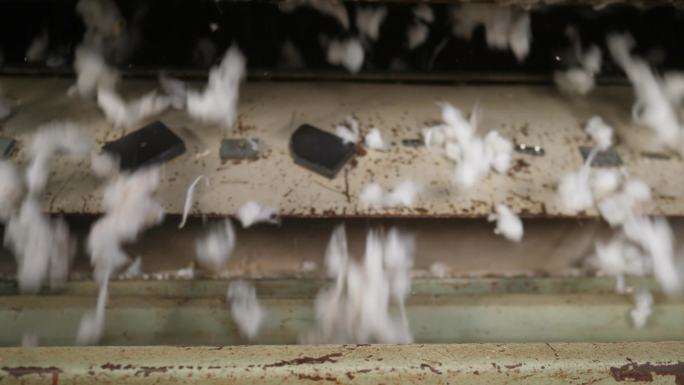 棉花机收 棉花加工
