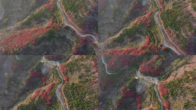 鸟瞰i山区道路两旁秋天红叶