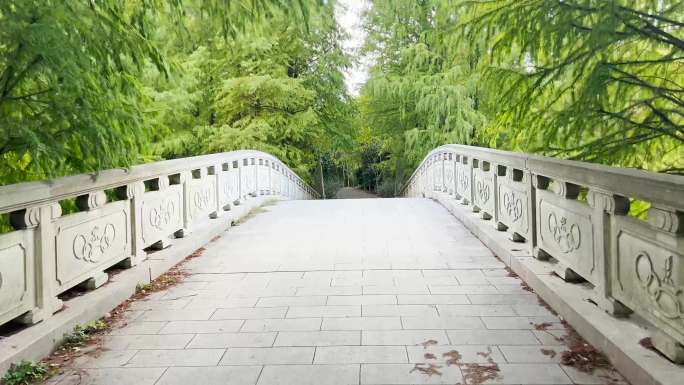 4k画质 森林桥 过桥 丛林风景