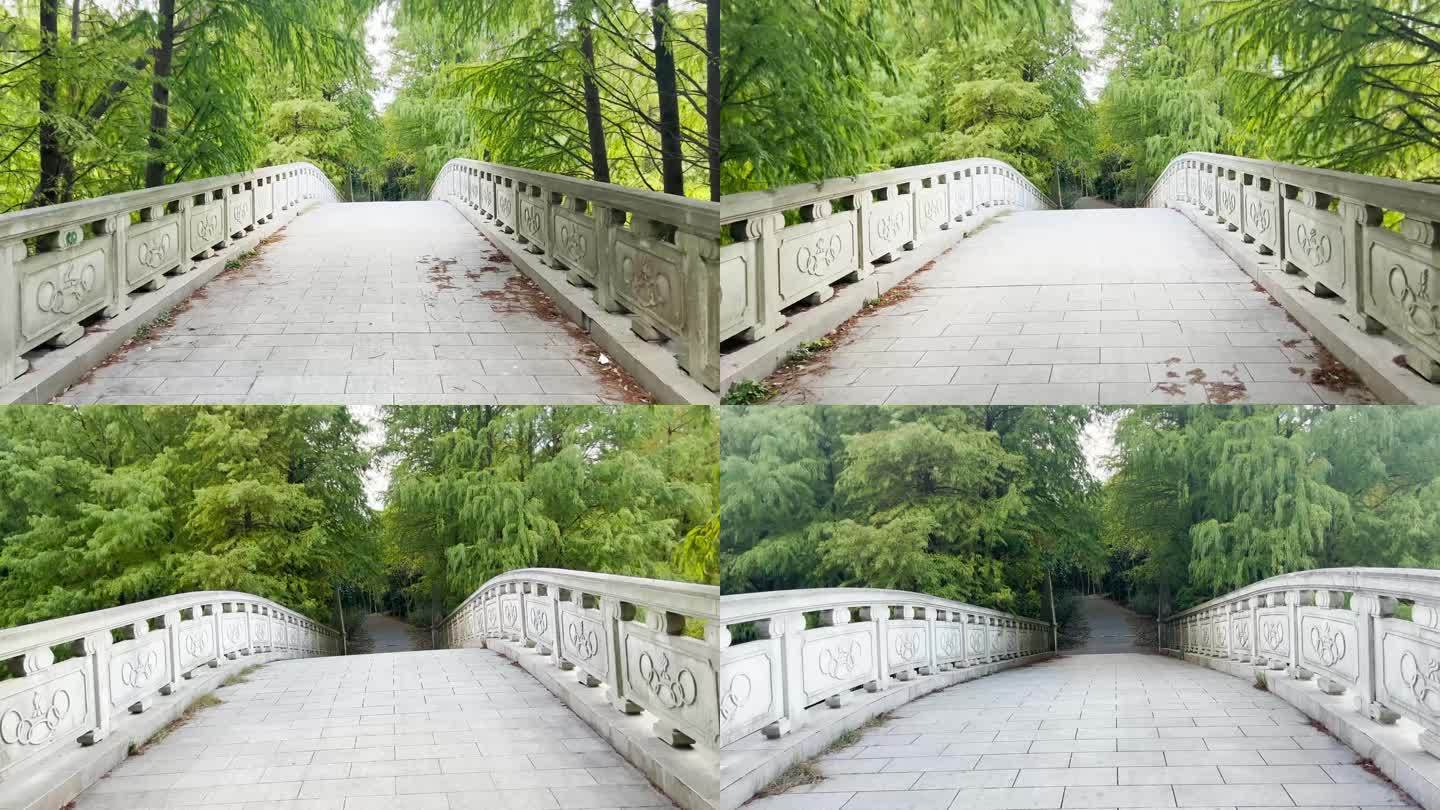 4k画质 森林桥 过桥 丛林风景