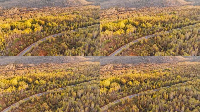 大兴安岭原始森林根白公路的秋天