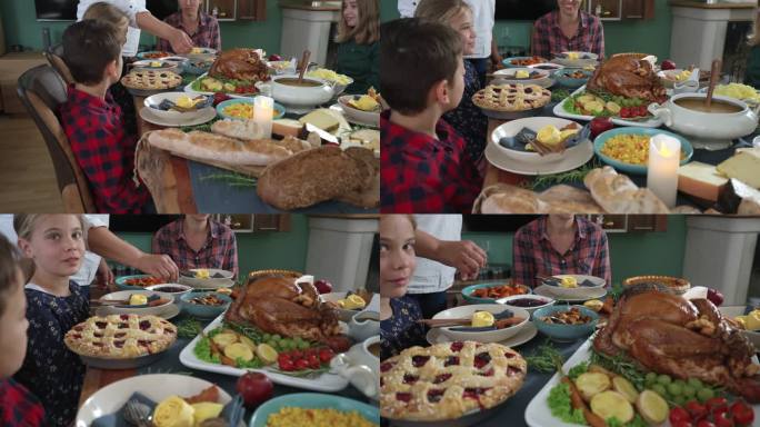 感恩节用烤牛肉、蔬菜、汤、南瓜、浆果馅饼和各种奶酪填充火鸡