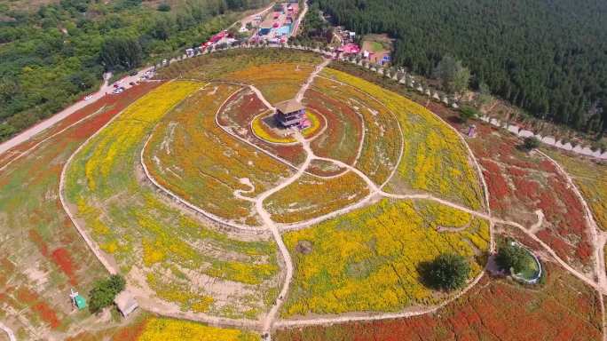 吕梁风景 花海 吕梁湖 黄河观光带